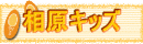 �_�ސ쑊���L�b�Y����