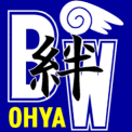 ��ʑ�J�u���[�E�B���Y����
